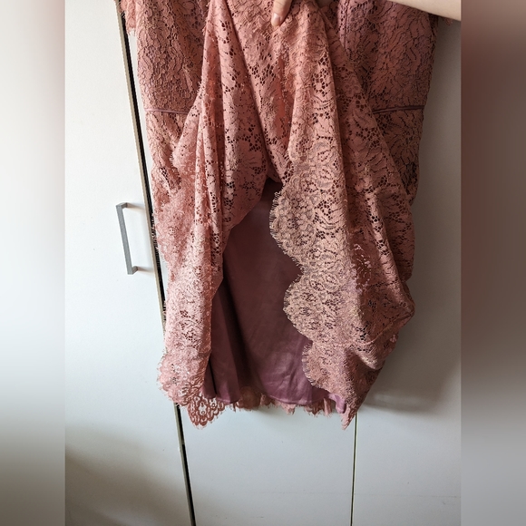 Antique Rose Lace Dress M&S Size 18 - Picture 8 of 10